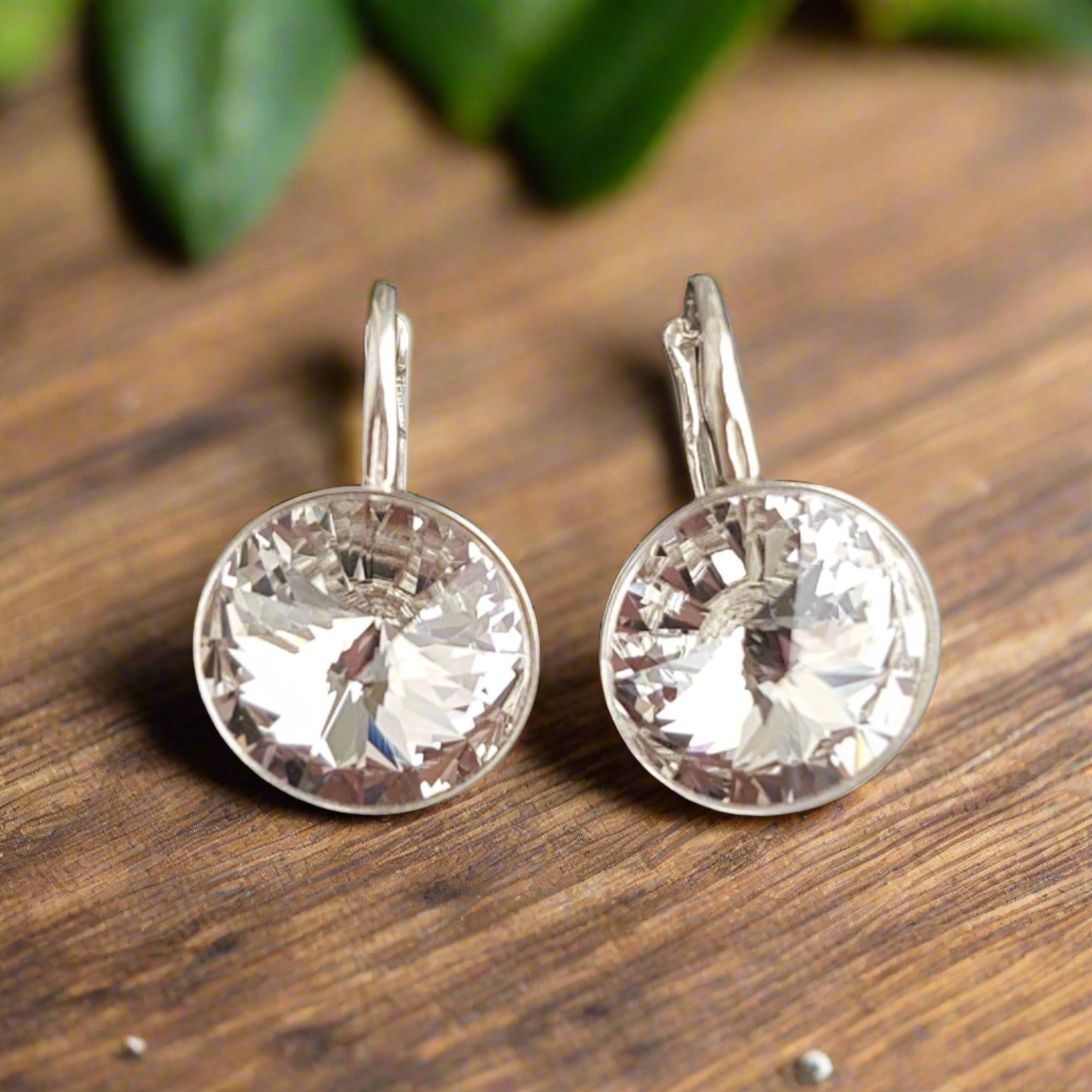 Silver Earrings with 14mm Round Crystals