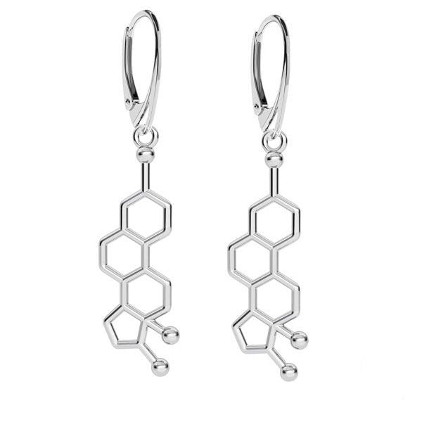 Sterling Silver Estrogen Molecule Drop Earrings with Kidney Leverback  Dainty Estrogen Molecule Pendant Drop Earrings for Medical Professionals and Geeks